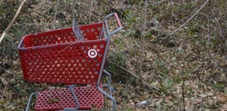 'Shopping cart serial killer' held for murdering female victims