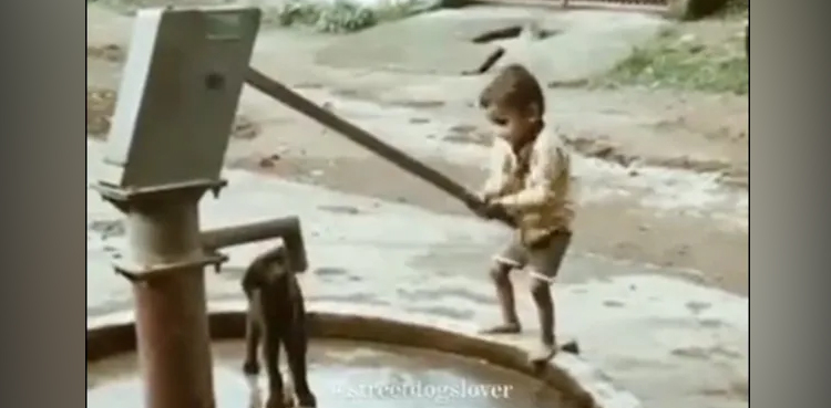 Viral: Child wins hearts with his sweet gesture towards dog