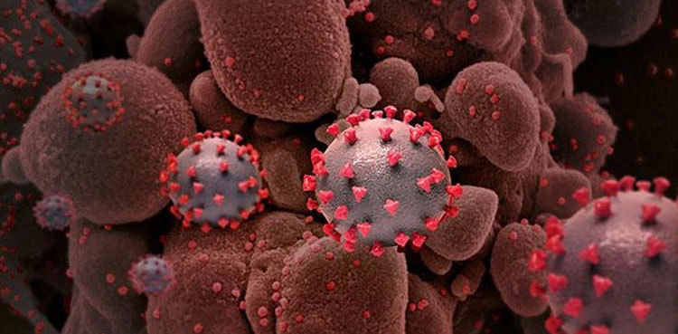 34 new cases of Omicron variant reported in Islamabad