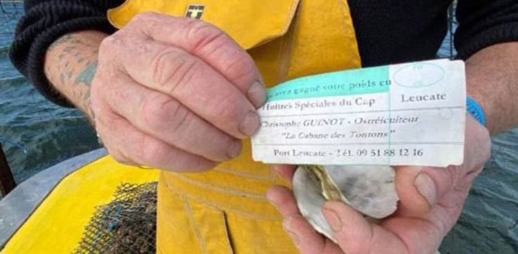 Shellfish farmer finds unique solution to oyster theft