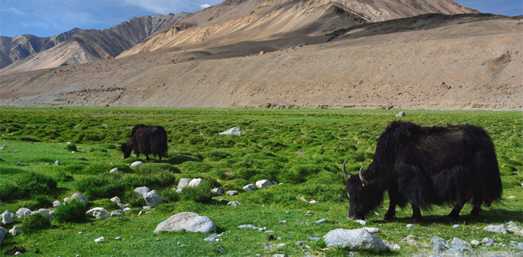 Explainer: What is regenerative agriculture?