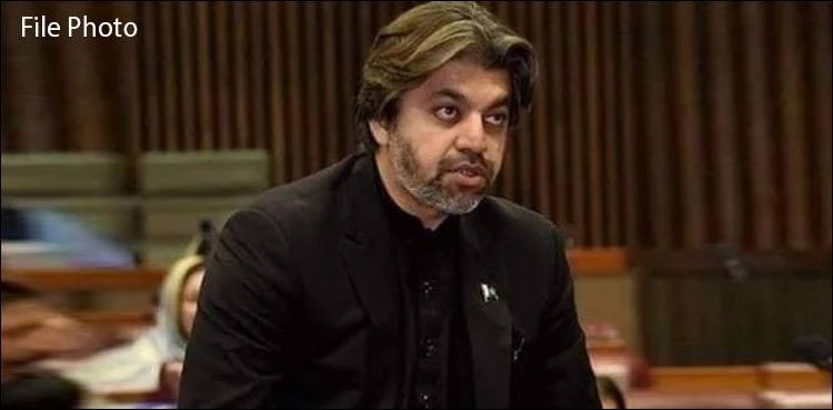 PTI's Ali Muhammad Khan re-arrested after release