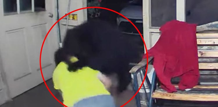 WATCH: Man fights off bear to save his family, pets