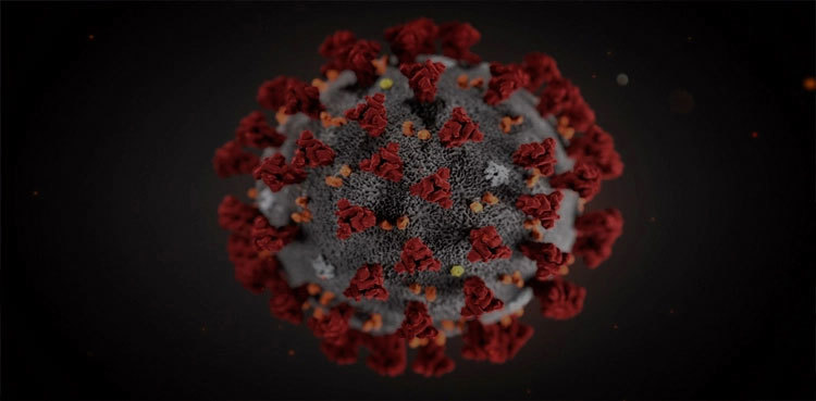 People with this certain gene version less likely to develop severe COVID-19