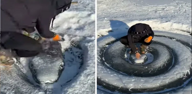 VIDEO: Handmade ice snake sculpture is realistic enough to terrify people