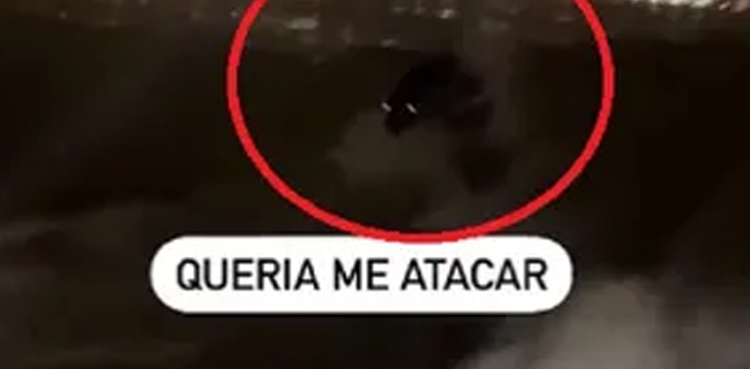 VIRAL but SCARY: Mysterious sea creature chases fisherman