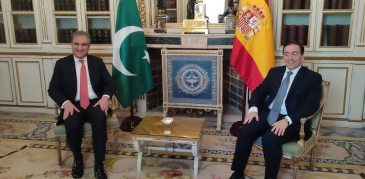FM Qureshi urges Spanish govt to review travel advisory for Pakistan
