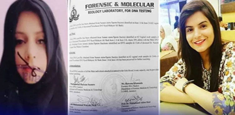 One man behind Dr Nimrita, Nausheen deaths, suggests report