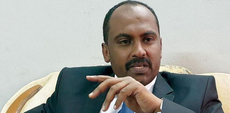 Former Sudanese transitional council member Mohamed Al-Faki Suleiman arrested