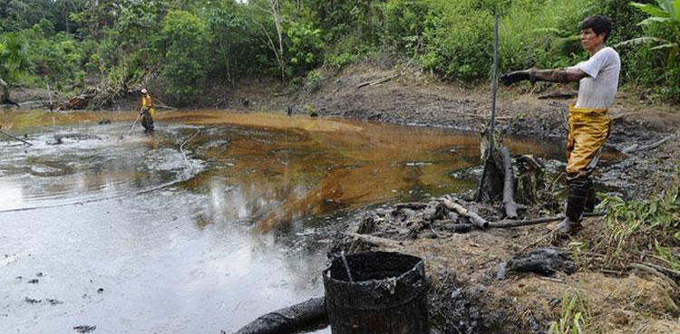 Ecuador takes over two Amazon oil blocks
