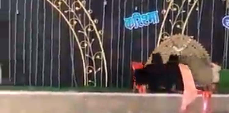 Viral video: Mother bear, cubs gatecrash wedding ceremony