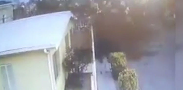 Scary video: Cloud of birds suddenly fall from sky in Mexico