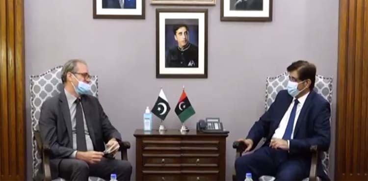 France eyes investment in Karachi, 'investors to visit Pakistan' soon