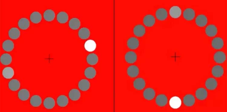 Optical illusion involving moving white dot goes viral