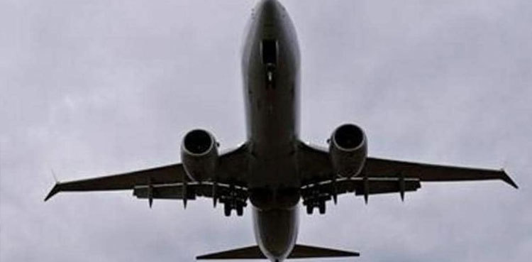 Lahore airport: Bird hits plane but aircraft lands safely