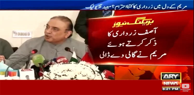 Maryam Nawaz abuses Asif Zardari in leaked audio