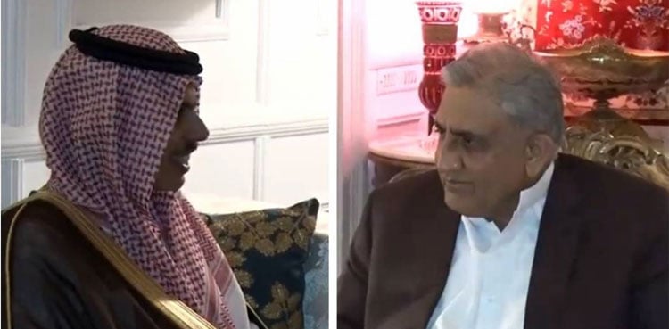 Saudi Arabia lauds Pakistan for hosting OIC session