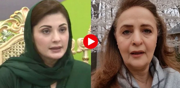 VIRAL: Hina Khawaja slams Maryam Nawaz over 'Purana Pakistan' statement