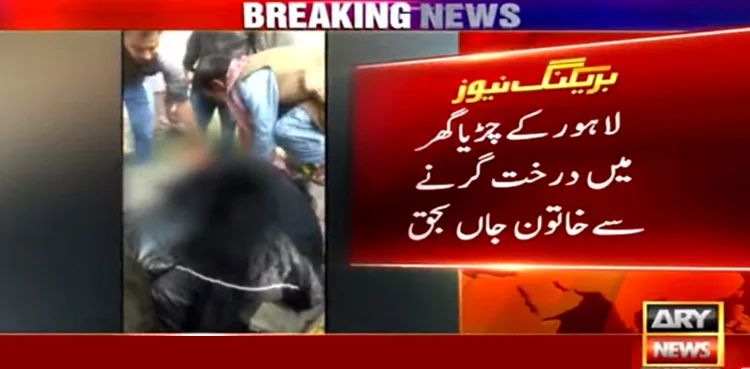 Lahore zoo: Woman dies after being struck by falling tree