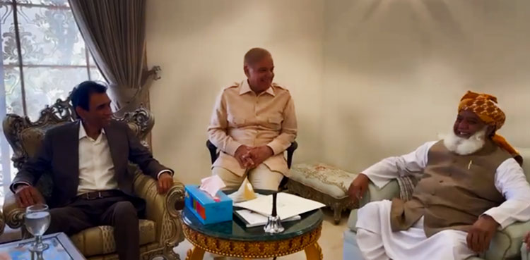 MQM-P delegation, Shehbaz Sharif discuss political developments