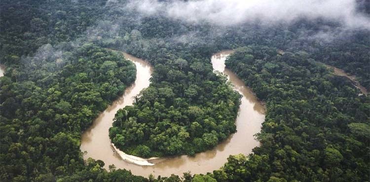 Children lost for 40 days in Colombian Amazon found alive