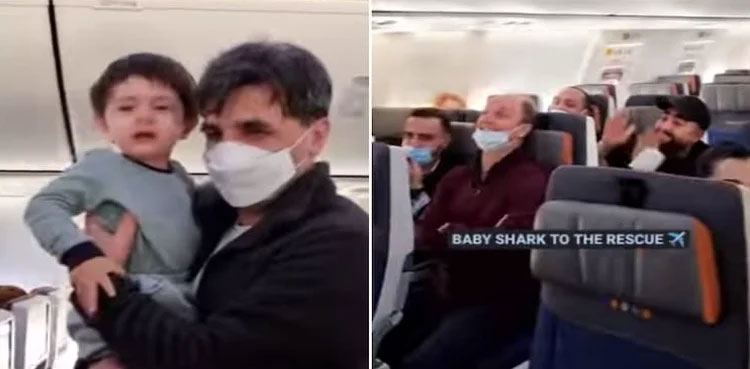 VIRAL: Plane passengers sing 'Baby Shark' to console crying baby