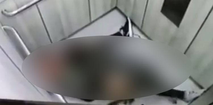 Horrific footage: Pet dog attack leaves woman seriously injured