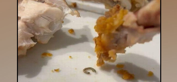 Fast food restaurant makes woman feel disgusted; here's why