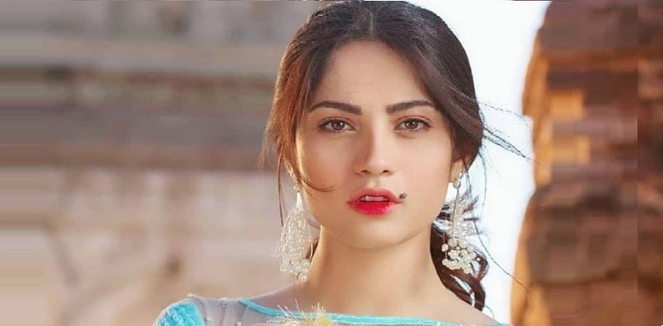 Fans approve Neelam Muneer Khan's style transformation