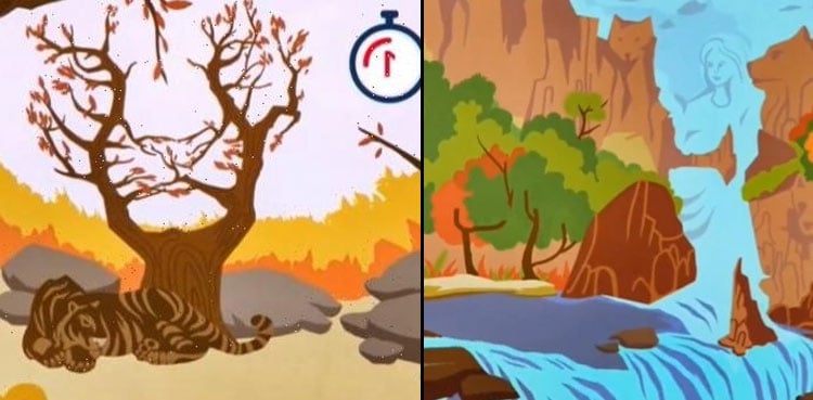 This optical illusion reveals how you feel about life