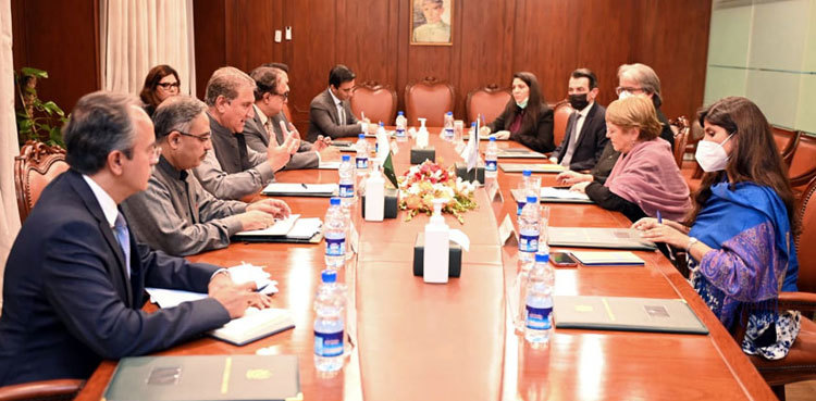 All frozen Afghan assets must be returned: Shah Mahmood Qureshi