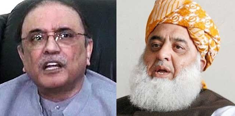 Asif Ali Zardari, Fazlur Rehman discuss cabinet formation