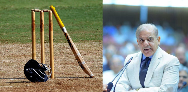 Govt decides to restore departmental cricket structure