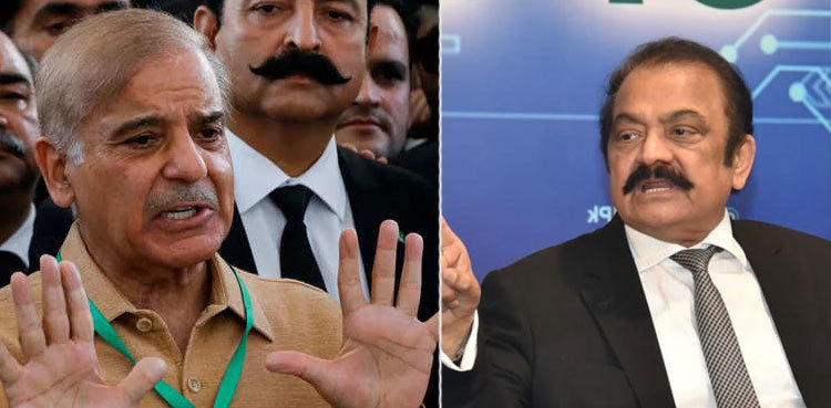 SHC moved against removal of 200 names from ECL