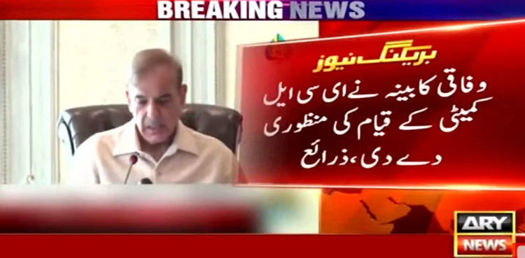 Cabinet okays formation of ECL committee