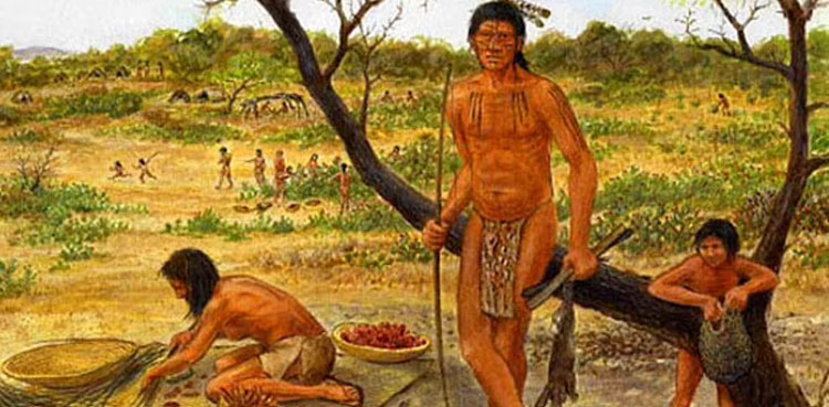 Hunting to farming switch shortened ancient humans' height: study proves