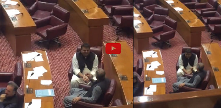 Fawad Chaudhry reveals details of discussion with Saad Rafique