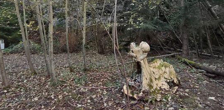 Man finds bride-dressed effigy in deserted place