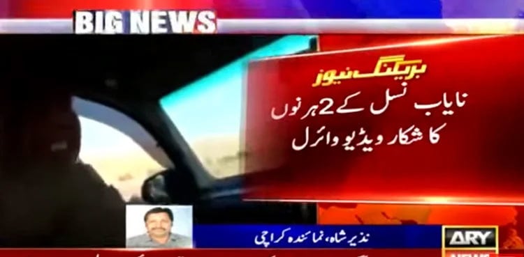 Viral video: Karachi man hunts two rare breed deer