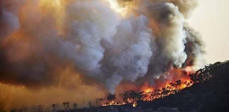 Pakistan Army continues efforts to douse Balochistan's forest fire: ISPR