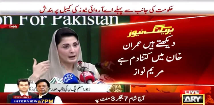 Will not hold elections due to Imran Khan's blackmail: Maryam Nawaz
