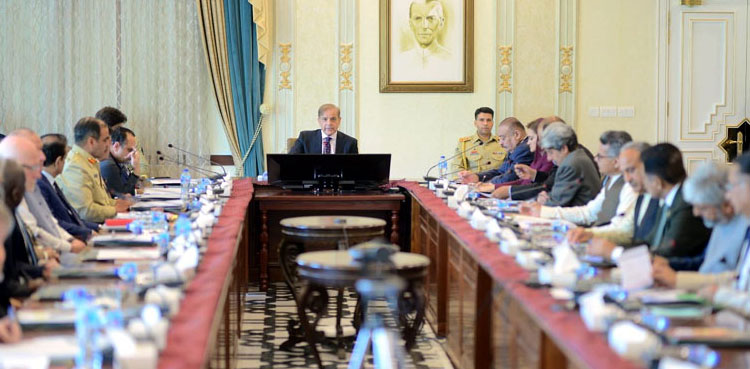 PM Shehbaz Sharif for collective efforts to eradicate polio