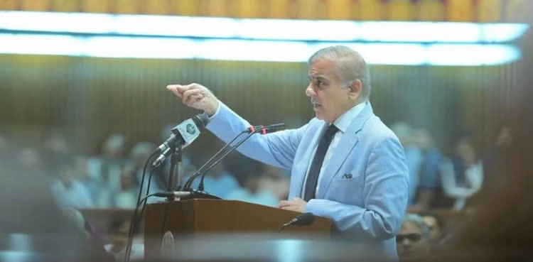 PML-N government pressurised statistics dept to downplay GDP growth