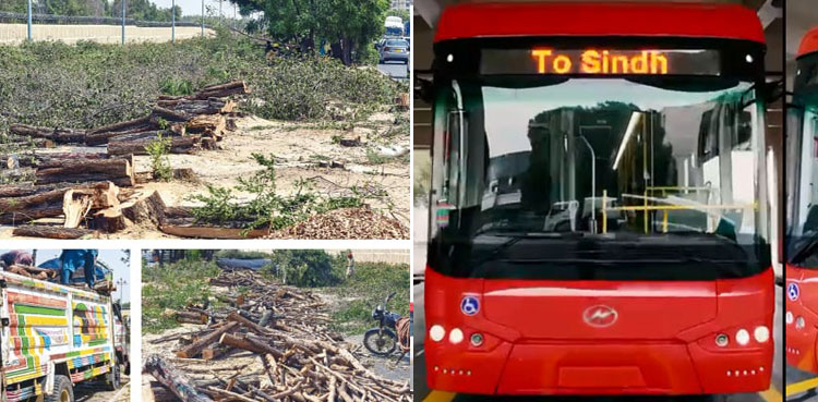 SHC moved against cutting of trees for Red Line BRT corridor