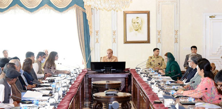 Govt forms task force to curb climate change