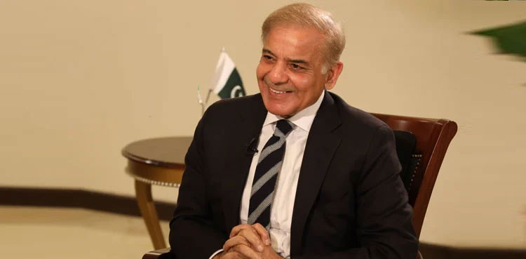 PM Shehbaz Sharif says he 'would sleep peacefully tonight'