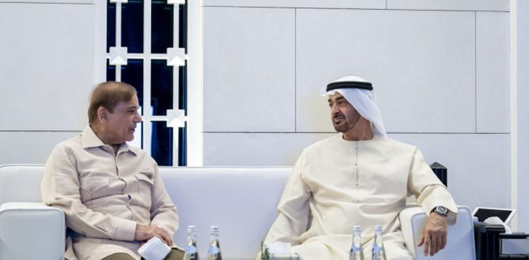 PM Shehbaz Sharif invites UAE Crown Prince to visit Pakistan
