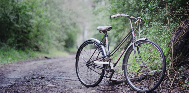 Sri Lanka port introduces 'free bicycle service' after fuel shortages