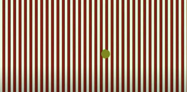 Viral Video: This optical illusion reveals 'hallucinating' effect
