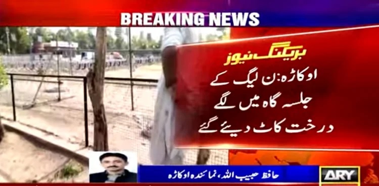 Trees cut down to make way for PML-N Okara rally